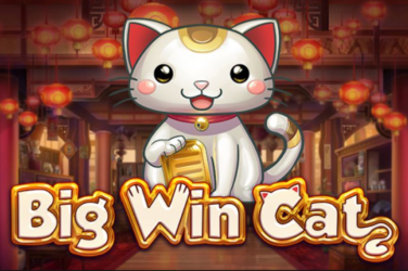 Big Win Cat